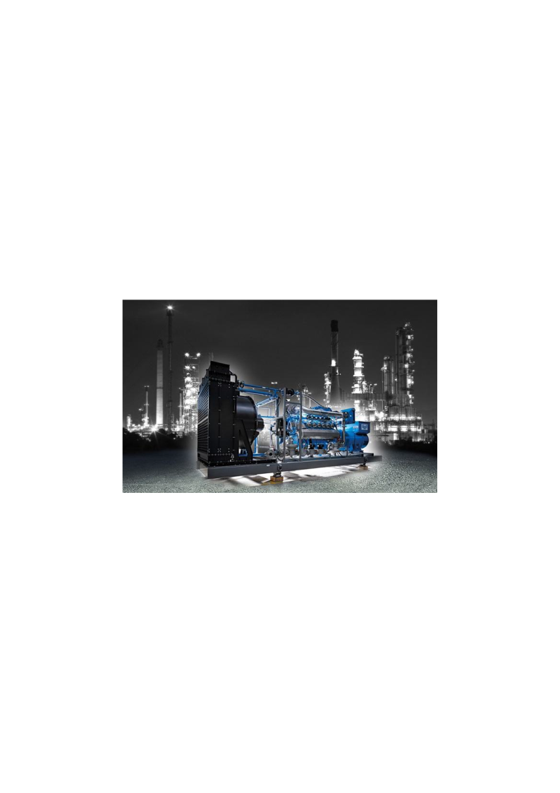 Zero Flare Gases To Electricity